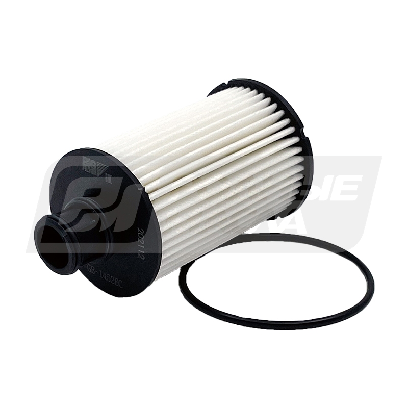 BIG FILTER GB-1452EC (HU8008z, OX774D, OE667/7, LR011279) GB1452EC